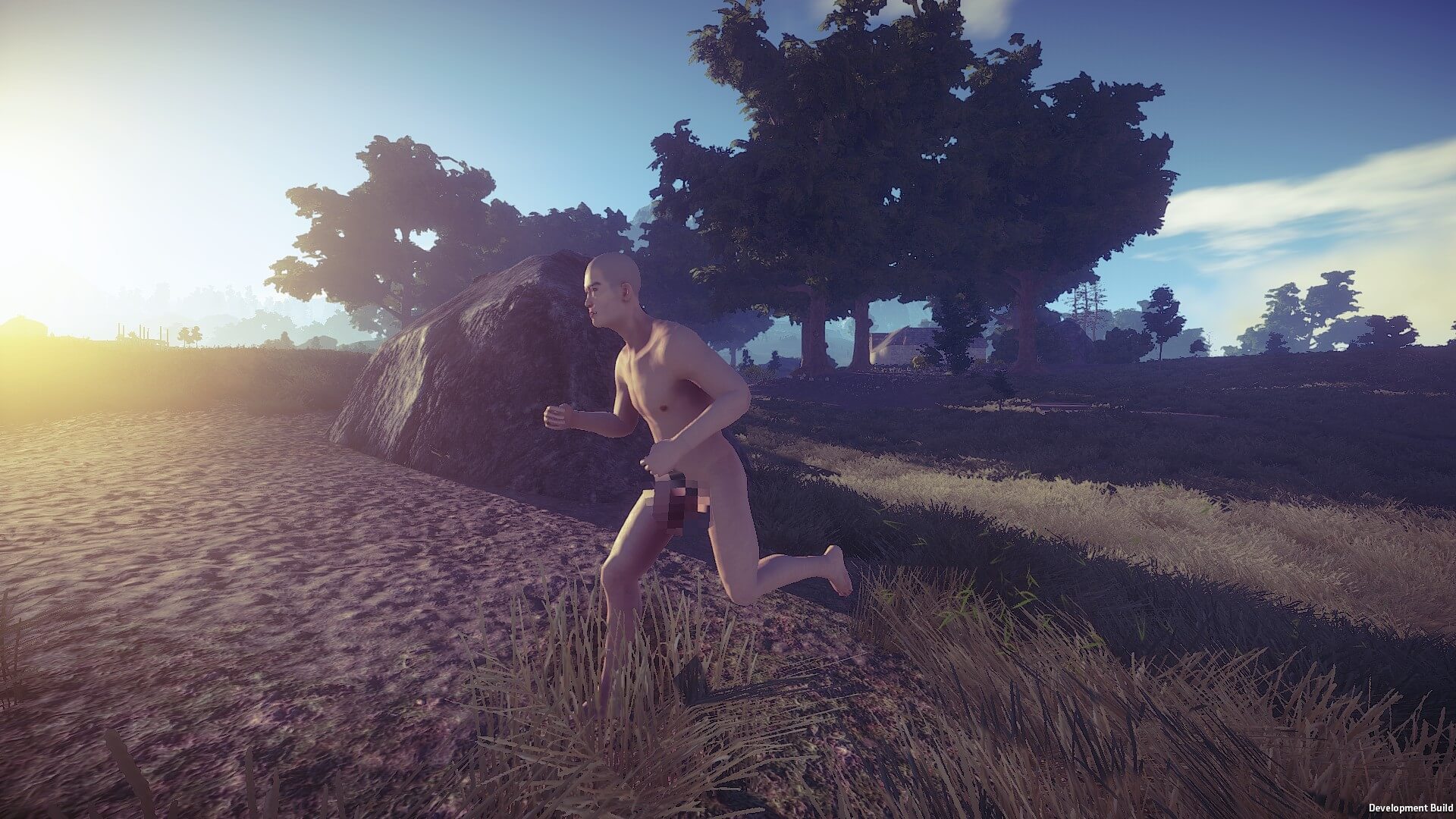 Rust（腐蚀）