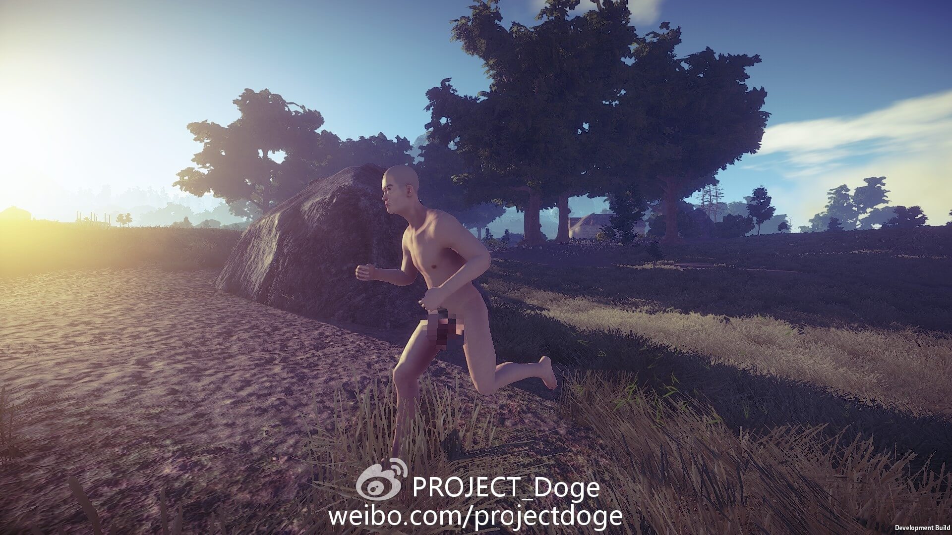 Rust（腐蚀）