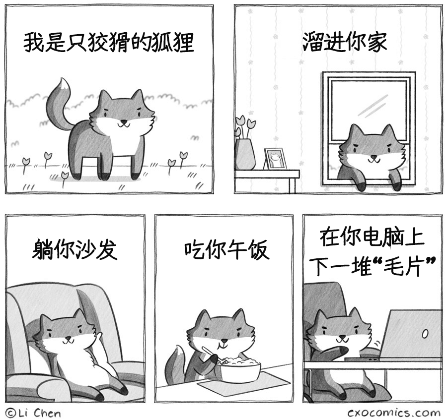 狡猾的狐狸（作者：Li Chen）